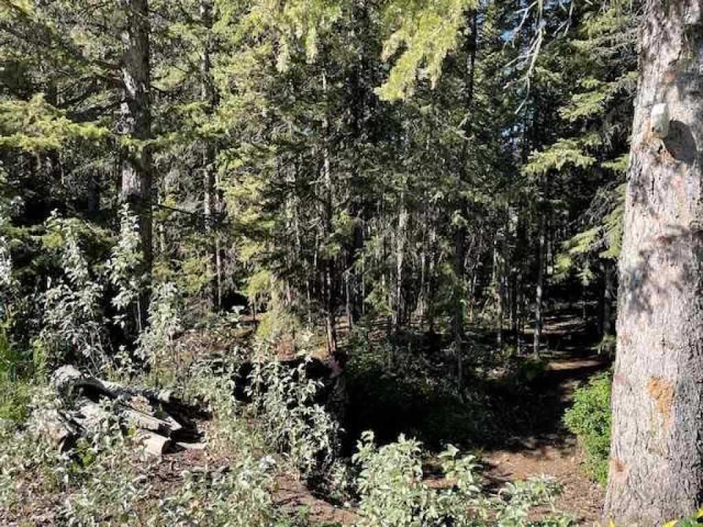 MLS® A2191520 - D Timber Road  in NONE Sundre, Land