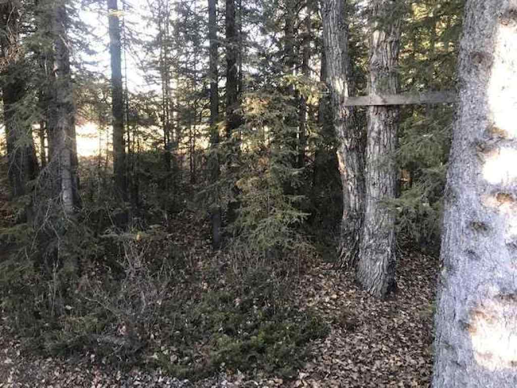 MLS® A2191520 - D Timber Road  in NONE Sundre, Land