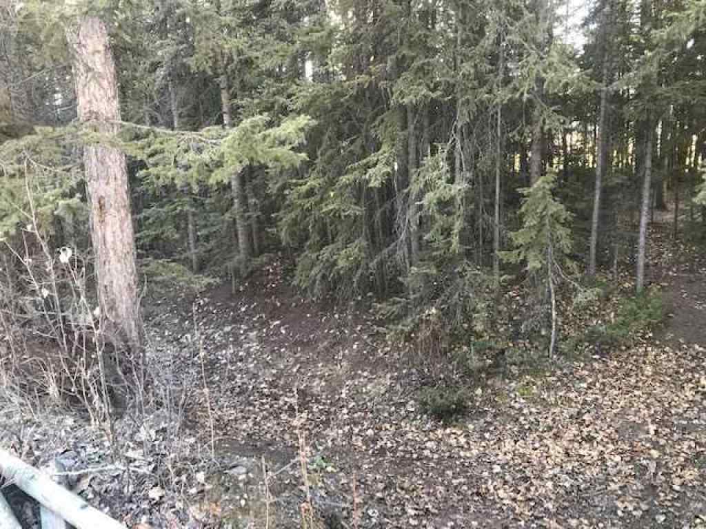 MLS® A2191520 - D Timber Road  in NONE Sundre, Land