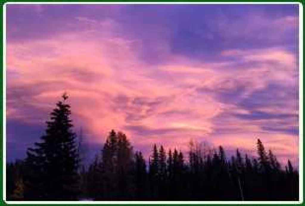 MLS® A2191520 - D Timber Road  in NONE Sundre, Land