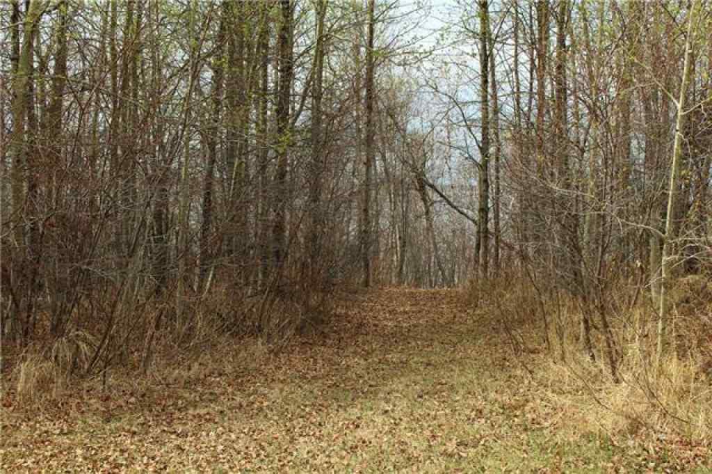 MLS® A2191646 - 149 - 13412 Lakeland Drive   in Lac La Biche Lac La Biche, Land