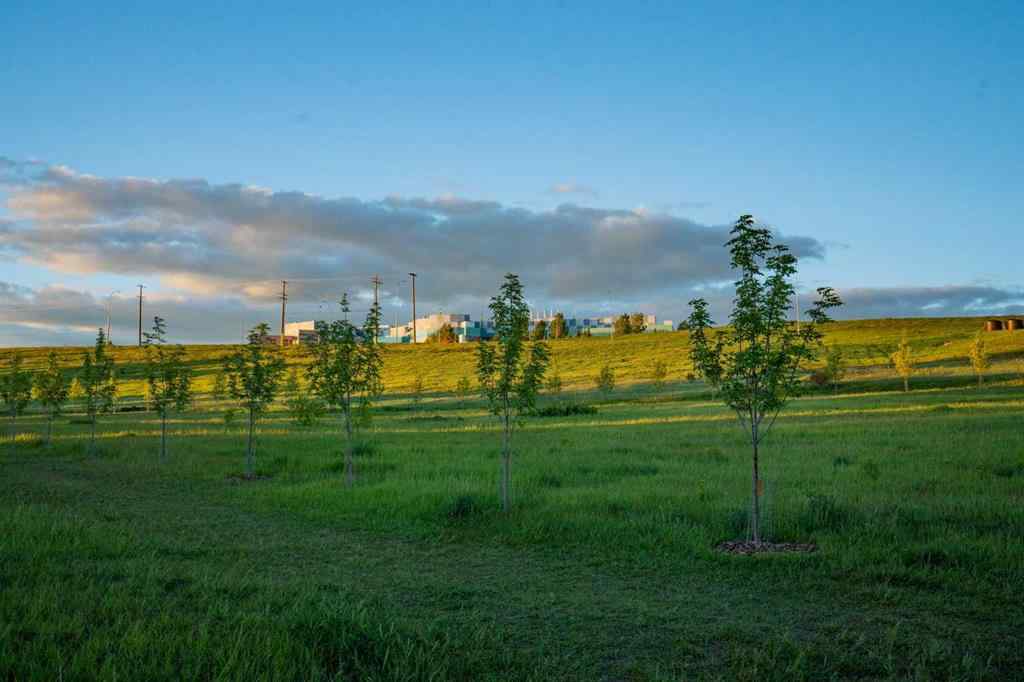 MLS® A2193991 - 4744 Montalban Drive NW in Montgomery Calgary, Residential
