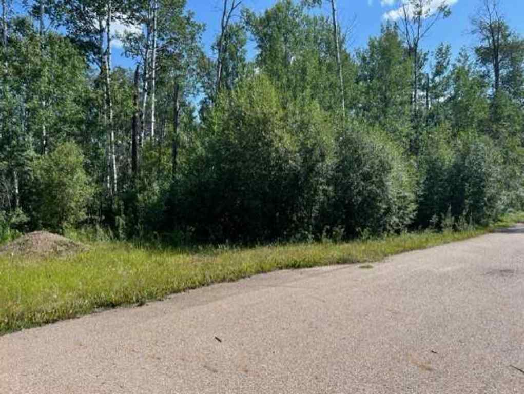 MLS® A2194373 - 146 Poplar Drive Rr   in Conklin Conklin, Land