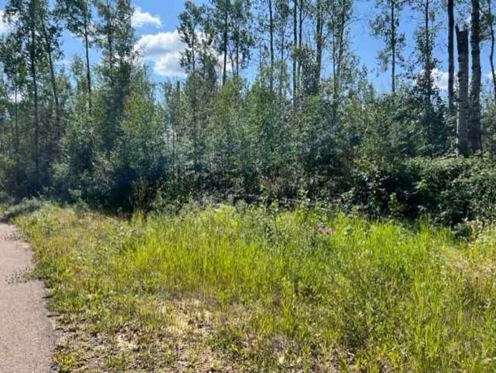 MLS® A2194373 - 146 Poplar Drive Rr   in Conklin Conklin, Land
