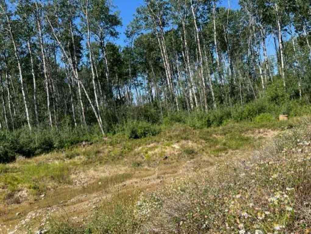MLS® A2194373 - 146 Poplar Drive Rr   in Conklin Conklin, Land