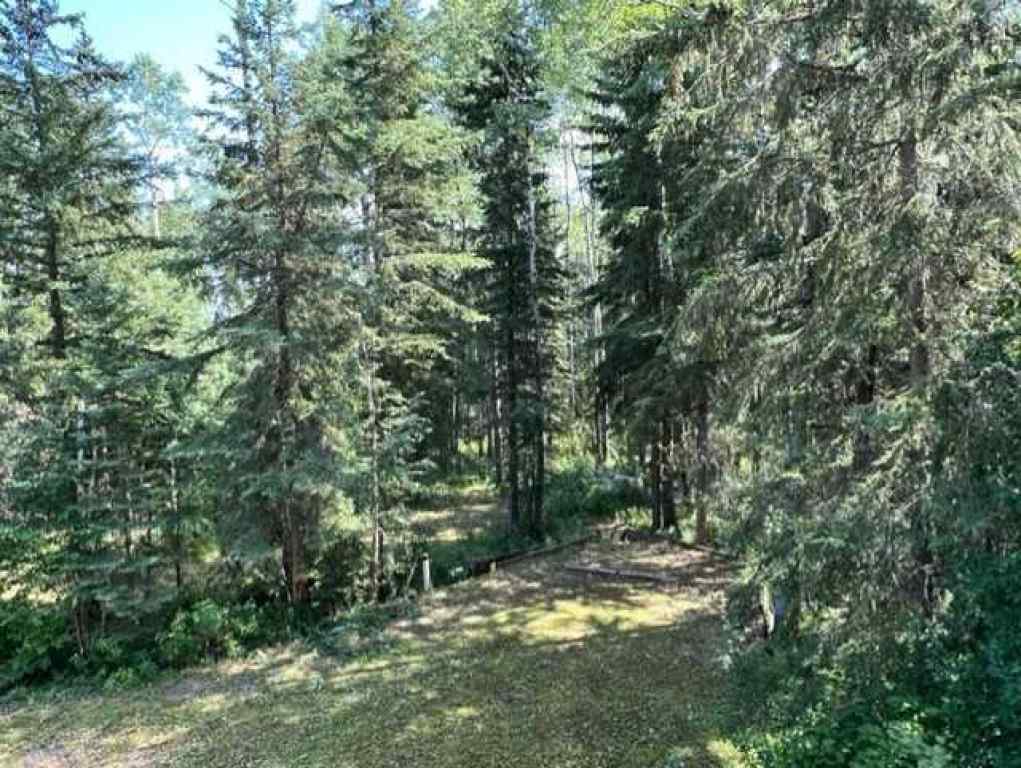 MLS® A2194374 - 119 Poplar Drive Rr   in Conklin Conklin, Residential