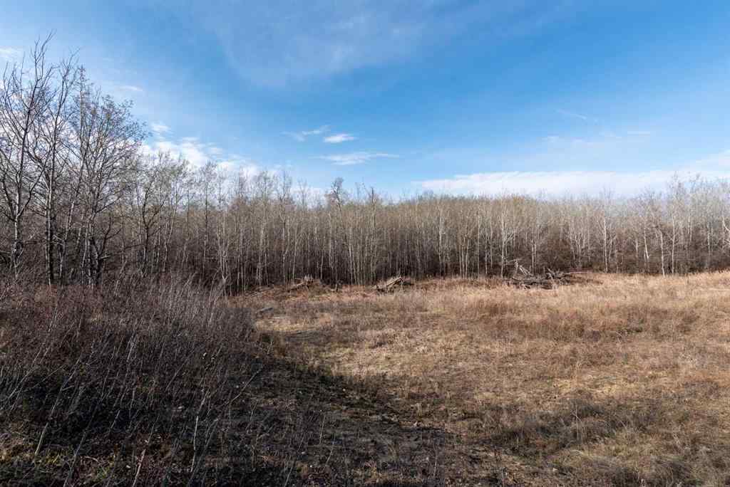 MLS® A2194581 - 50251 Rge. Rd. 25   in NONE Rural Vermilion River, County of, Land
