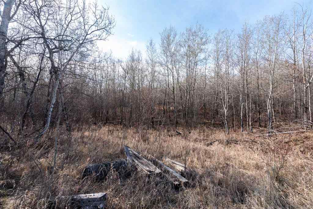 MLS® A2194581 - 50251 Rge. Rd. 25   in NONE Rural Vermilion River, County of, Land