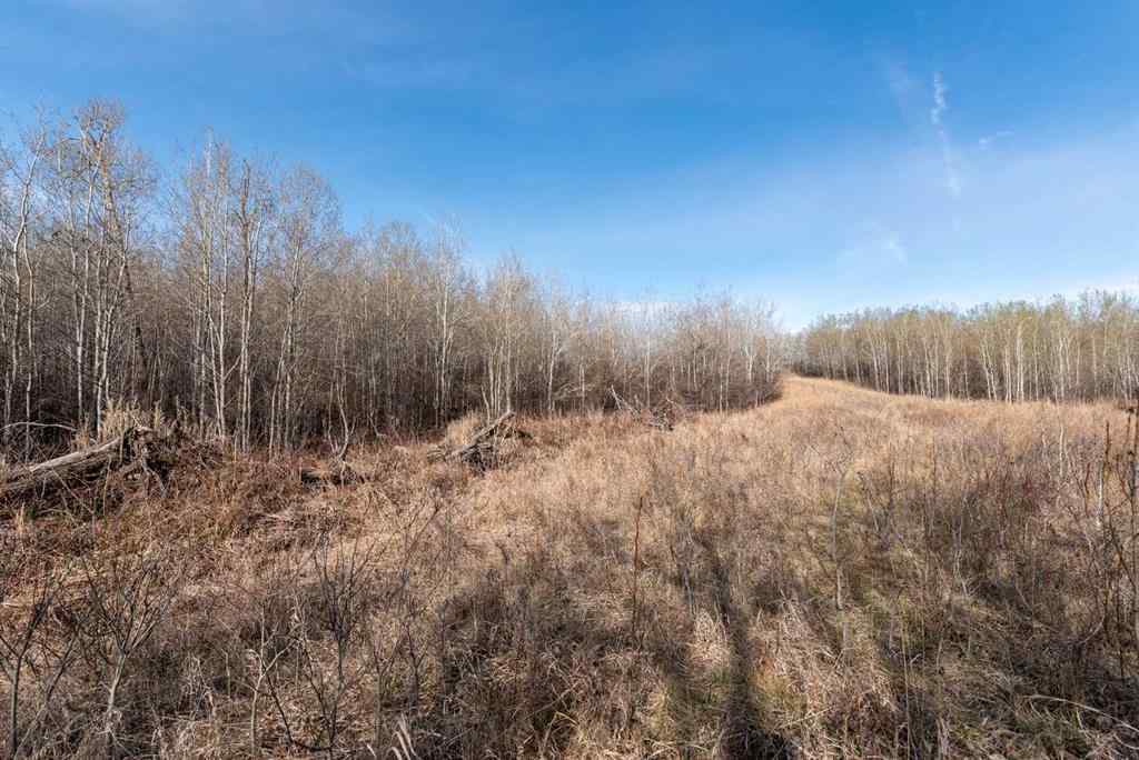 MLS® A2194581 - 50251 Rge. Rd. 25   in NONE Rural Vermilion River, County of, Land