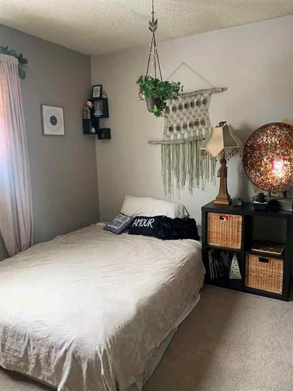 MLS® A2194599 - 10016 102 Avenue  in Lac La Biche Lac La Biche, Residential