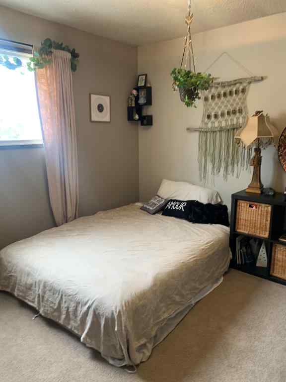 MLS® A2194599 - 10016 102 Avenue  in Lac La Biche Lac La Biche, Residential