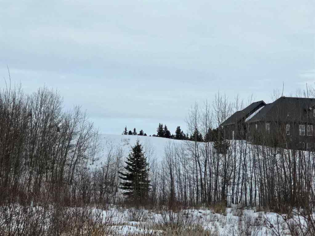 MLS® A2194603 - 309 Wolf Run Drive  in Wolf Creek Village Rural Ponoka County, Land