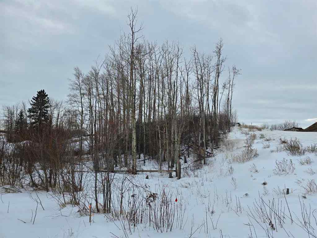 MLS® A2194603 - 309 Wolf Run Drive  in Wolf Creek Village Rural Ponoka County, Land