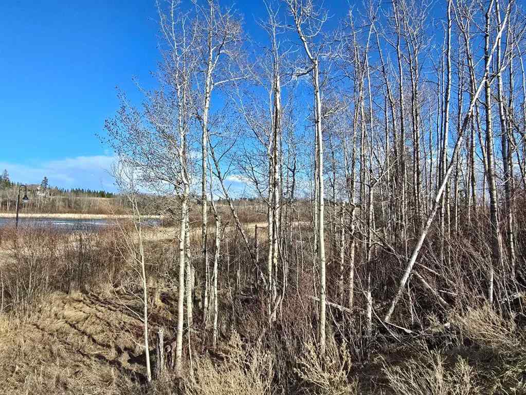 MLS® A2194603 - 309 Wolf Run Drive  in Wolf Creek Village Rural Ponoka County, Land