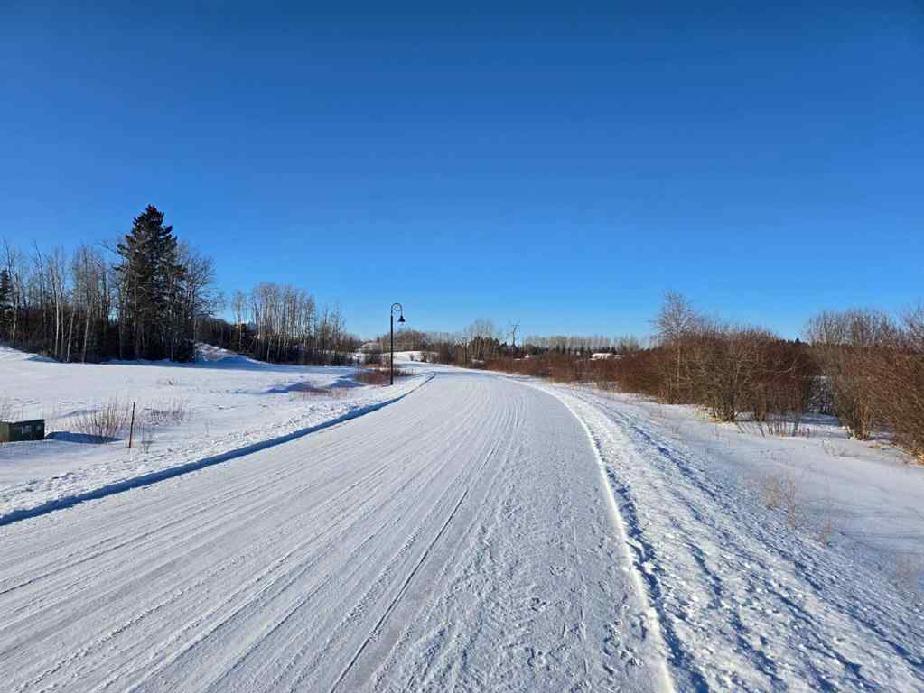MLS® A2194603 - 309 Wolf Run Drive  in Wolf Creek Village Rural Ponoka County, Land