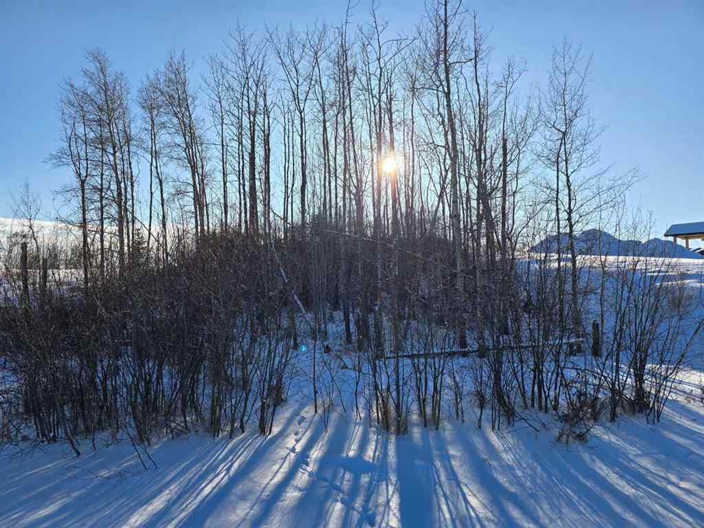 MLS® A2194603 - 309 Wolf Run Drive  in Wolf Creek Village Rural Ponoka County, Land