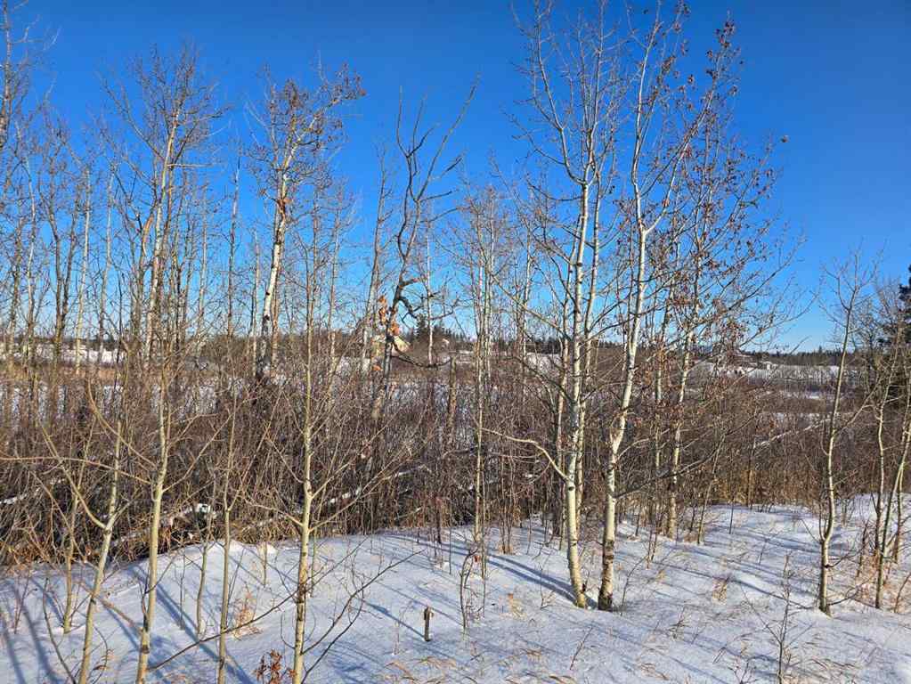 MLS® A2194603 - 309 Wolf Run Drive  in Wolf Creek Village Rural Ponoka County, Land