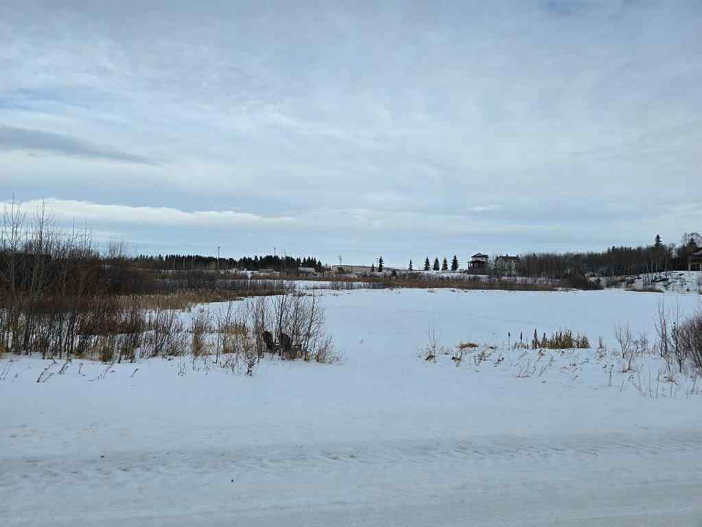 MLS® A2194603 - 309 Wolf Run Drive  in Wolf Creek Village Rural Ponoka County, Land