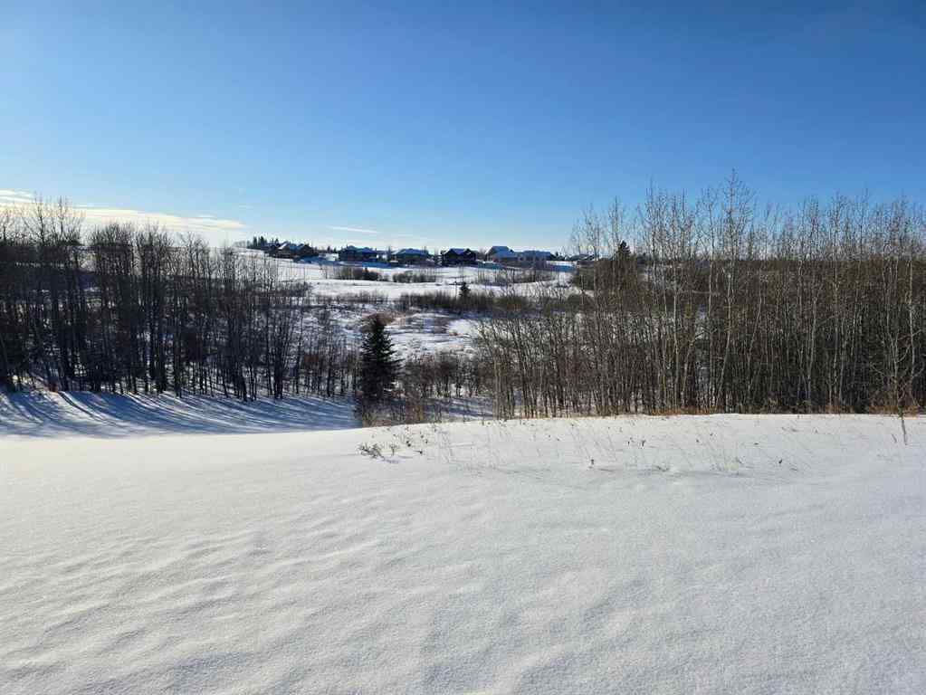 MLS® A2194610 - 414 Sand Hills Drive  in Wolf Creek Village Rural Ponoka County, Land