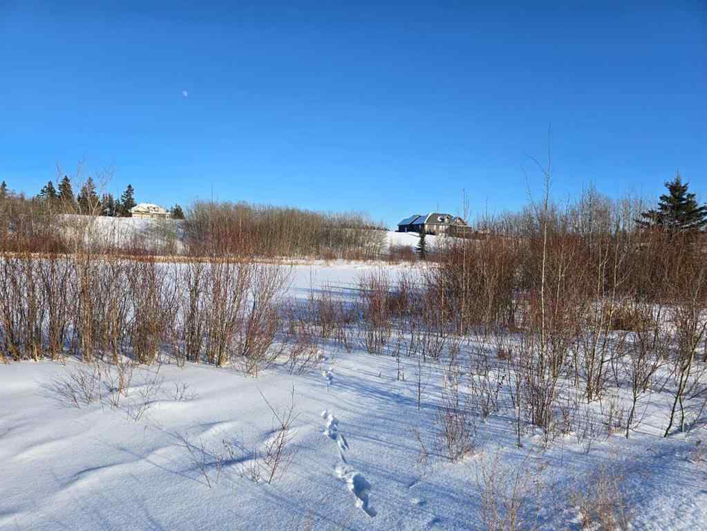 MLS® A2194610 - 414 Sand Hills Drive  in Wolf Creek Village Rural Ponoka County, Land