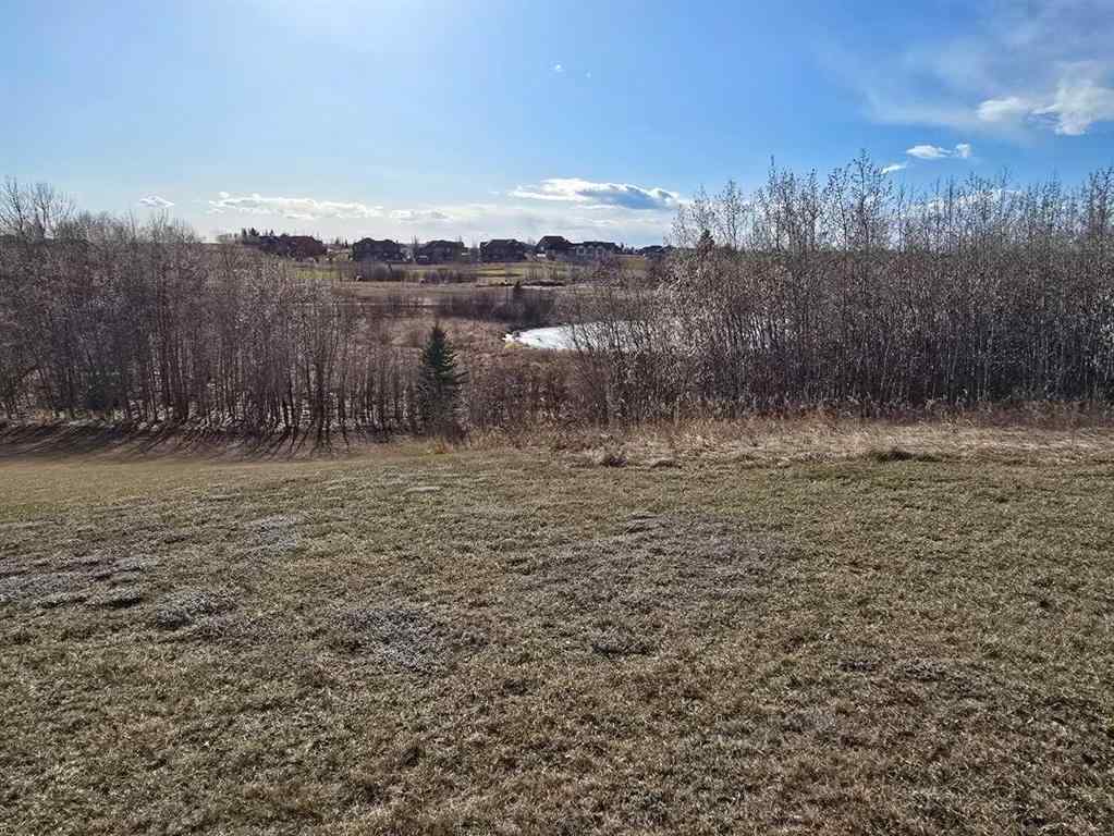 MLS® A2194610 - 414 Sand Hills Drive  in Wolf Creek Village Rural Ponoka County, Land