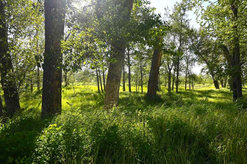 MLS® A2195197 - 8416 RGE RD 1-3   in NONE Rural Pincher Creek No. 9, M.D. of, Residential
