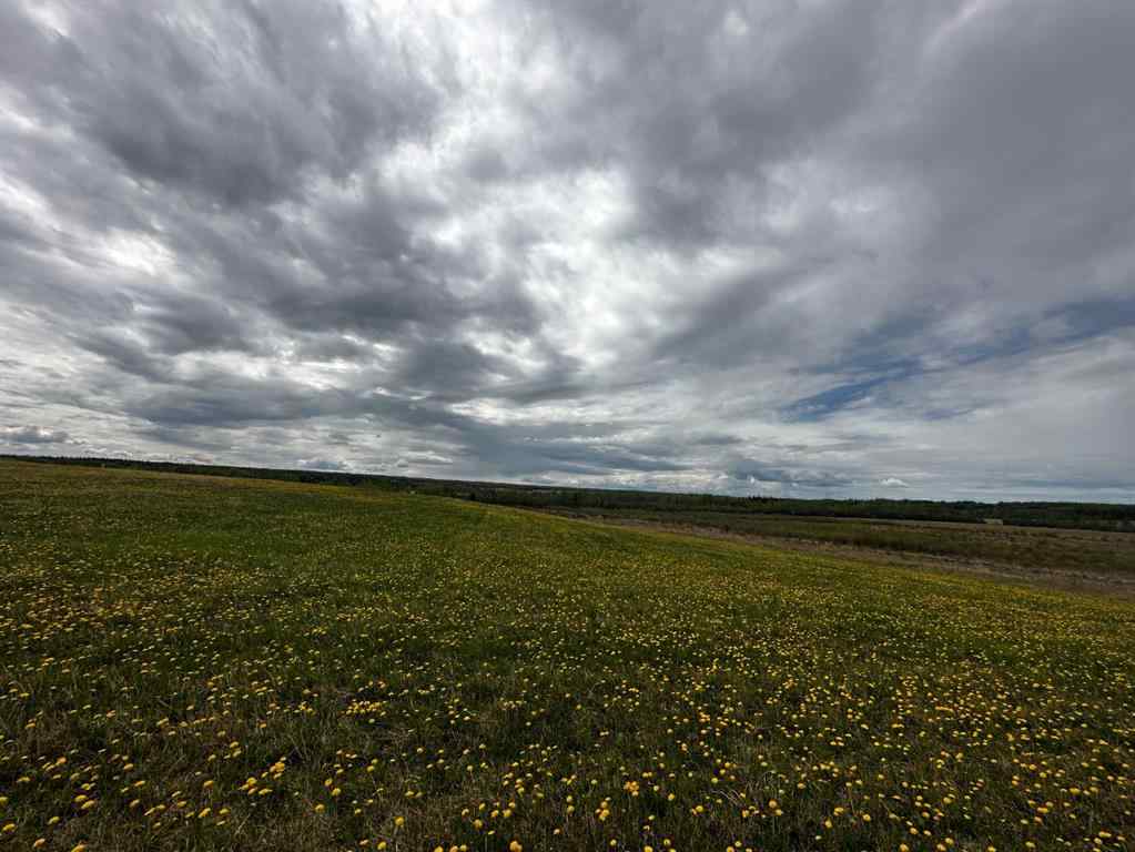 MLS® A2195387 - Range Road 250  S in NONE Ridgevalley, Agri-Business