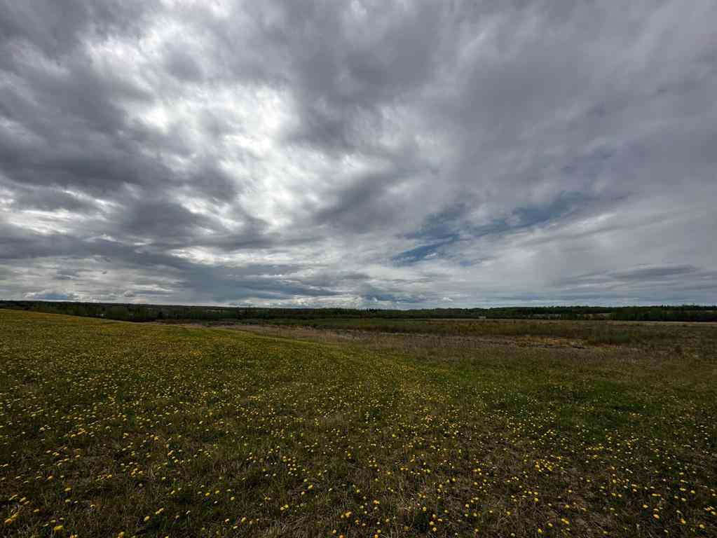 MLS® A2195387 - Range Road 250  S in NONE Ridgevalley, Agri-Business
