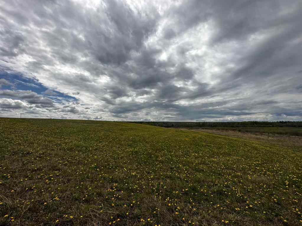 MLS® A2195387 - Range Road 250  S in NONE Ridgevalley, Agri-Business