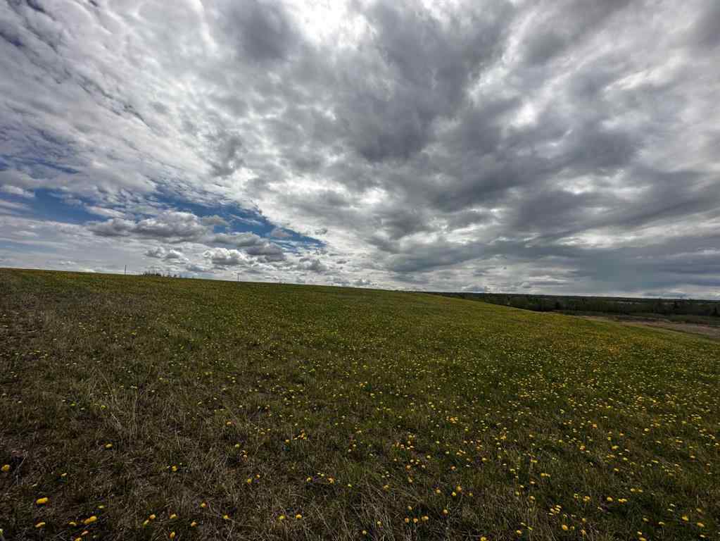 MLS® A2195387 - Range Road 250  S in NONE Ridgevalley, Agri-Business