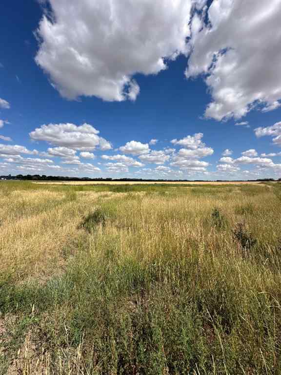 MLS® A2195744 - Unit #Lot 7 12003 Range Road 60A   in NONE Rural Cypress County, Land