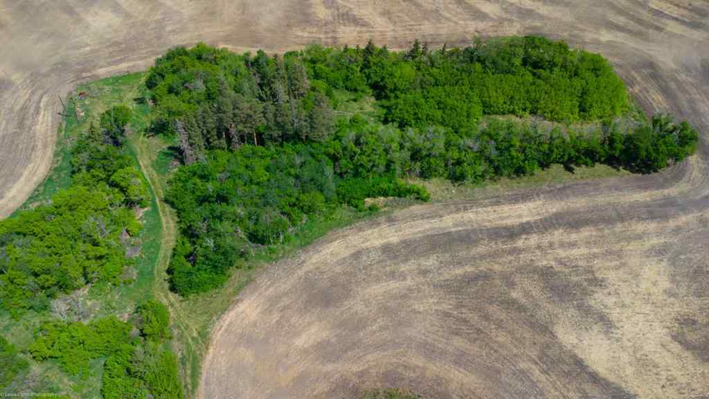 MLS® A2196397 -  Lot 1 NW 24-52-2-4   in NONE Rural Vermilion River, County of, Land