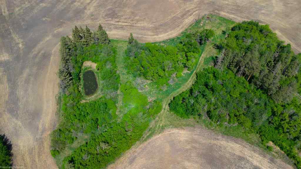 MLS® A2196397 -  Lot 1 NW 24-52-2-4   in NONE Rural Vermilion River, County of, Land