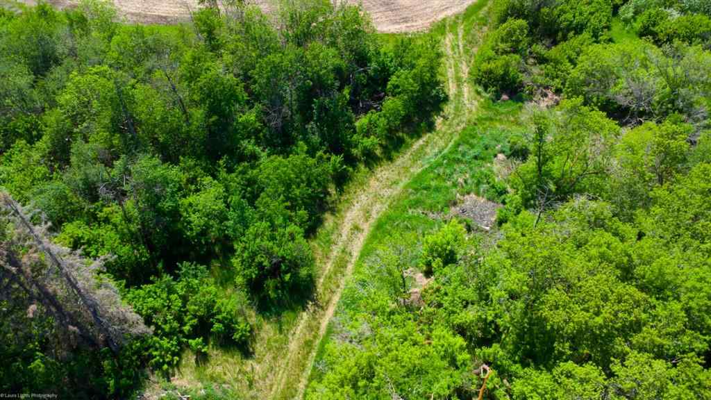MLS® A2196397 -  Lot 1 NW 24-52-2-4   in NONE Rural Vermilion River, County of, Land