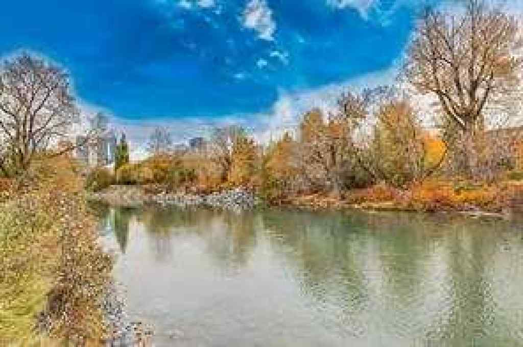 MLS® A2196459 - Unit #206 104 24 Avenue SW in Mission Calgary, Residential
