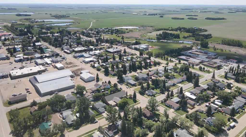 MLS® A2196674 - 4601 53 Street  in NONE Killam, Land