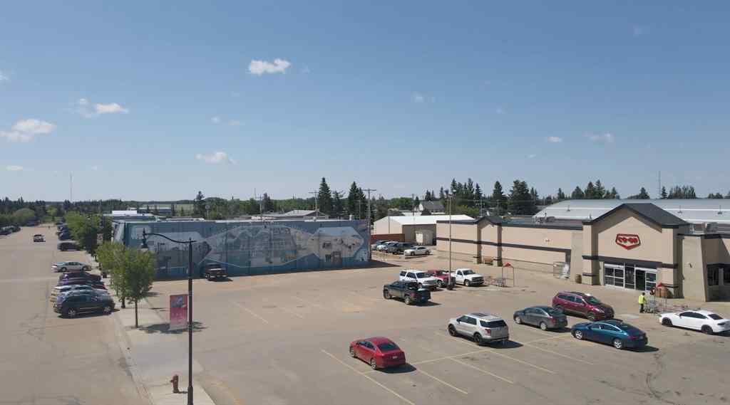 MLS® A2196674 - 4601 53 Street  in NONE Killam, Land