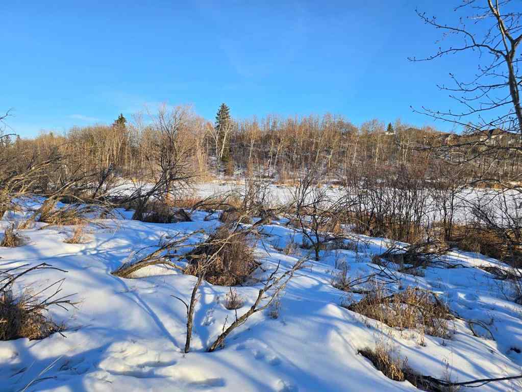 MLS® A2196977 - 20 Cranna Lake Drive  in None Lacombe, Land