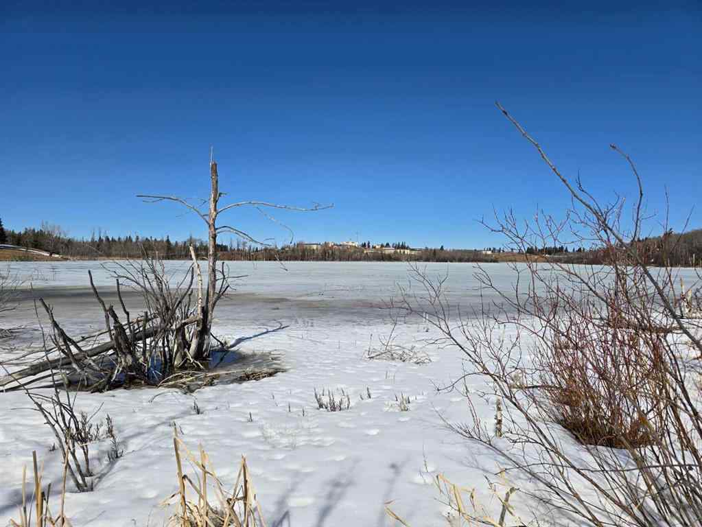 MLS® A2196977 - 20 Cranna Lake Drive  in None Lacombe, Land
