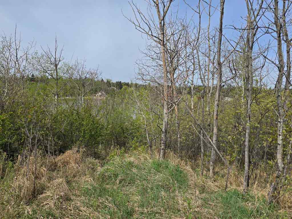 MLS® A2196977 - 20 Cranna Lake Drive  in None Lacombe, Land