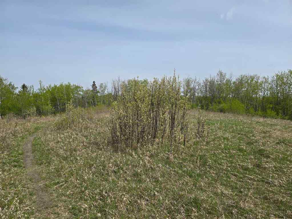MLS® A2196977 - 20 Cranna Lake Drive  in None Lacombe, Land