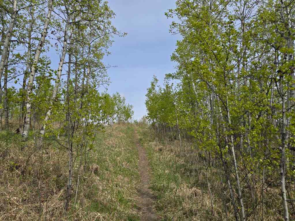 MLS® A2196977 - 20 Cranna Lake Drive  in None Lacombe, Land