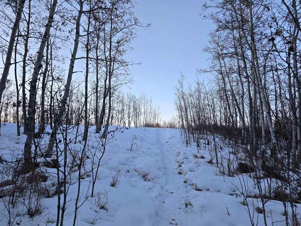 MLS® A2196977 - 20 Cranna Lake Drive  in None Lacombe, Land