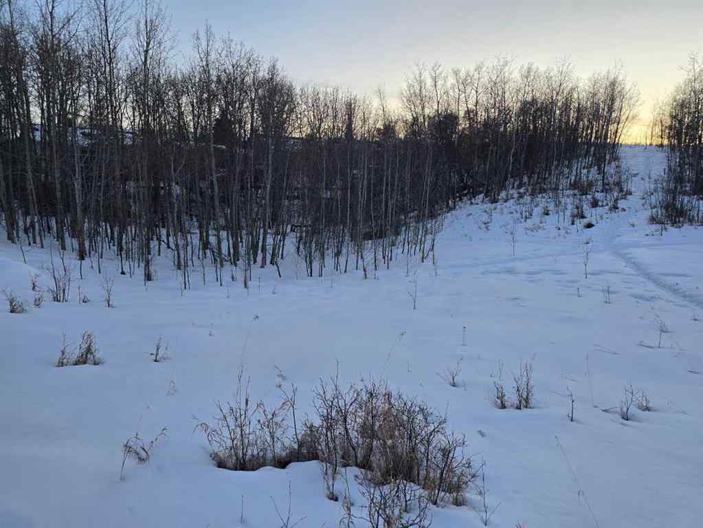 MLS® A2196977 - 20 Cranna Lake Drive  in None Lacombe, Land