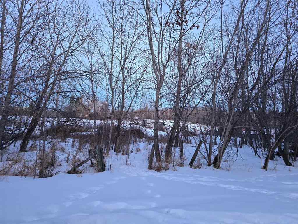 MLS® A2196977 - 20 Cranna Lake Drive  in None Lacombe, Land