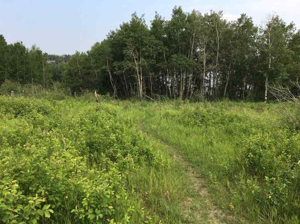 MLS® A2196977 - 20 Cranna Lake Drive  in None Lacombe, Land
