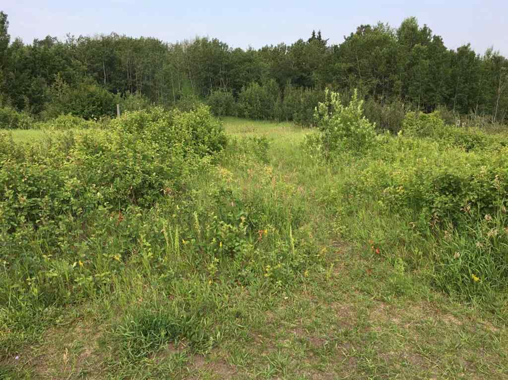 MLS® A2196977 - 20 Cranna Lake Drive  in None Lacombe, Land