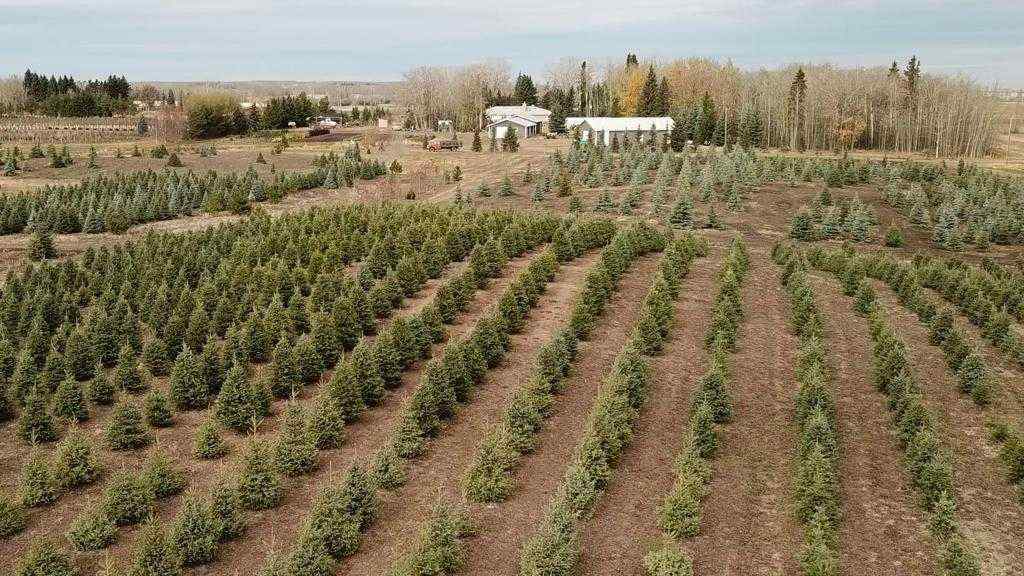MLS® A2197351 - 272007 Twp Rd 452   in NONE Rural Wetaskiwin No. 10, County of, Agri-Business