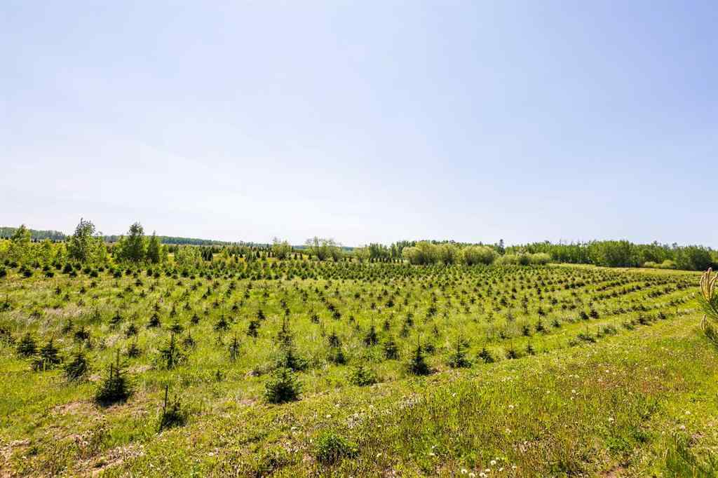 MLS® A2197351 - 272007 Twp Rd 452   in NONE Rural Wetaskiwin No. 10, County of, Agri-Business