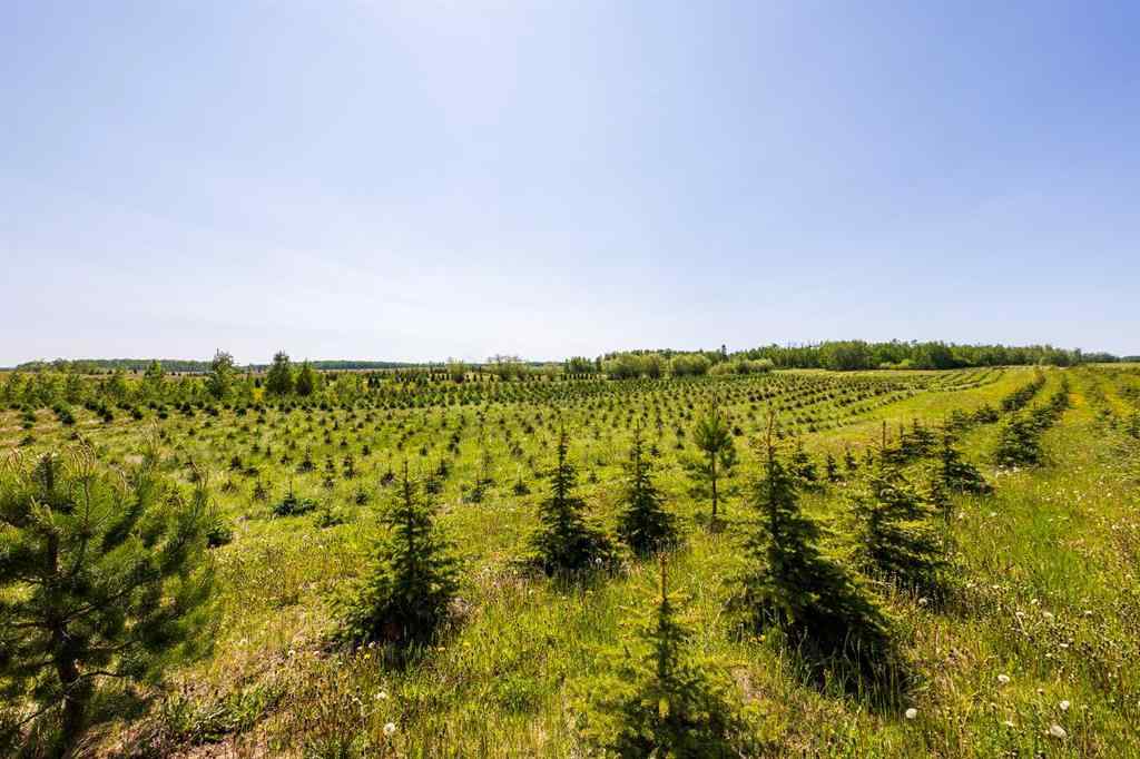 MLS® A2197351 - 272007 Twp Rd 452   in NONE Rural Wetaskiwin No. 10, County of, Agri-Business
